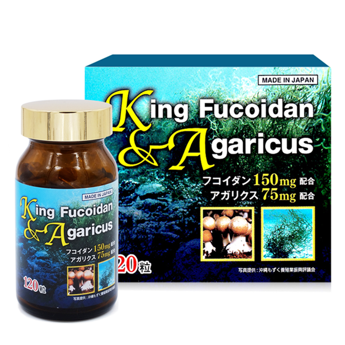 King Fucoidan & Agaricus, hộp 120 viên